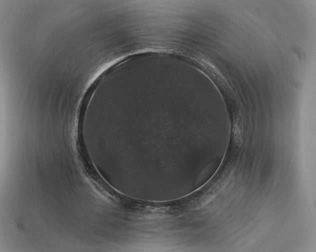 X0000114120484200910051514