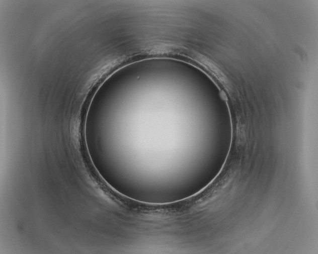 X0000114120485200910051514