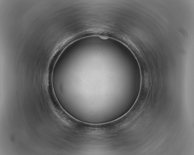 X0000114120486200910051514