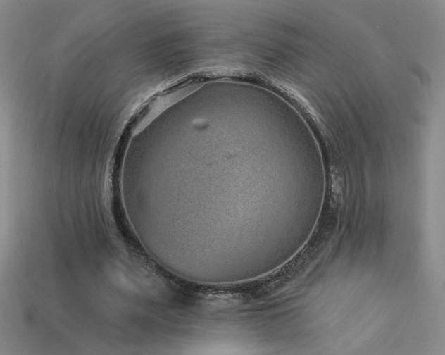 X0000114120487200910051514