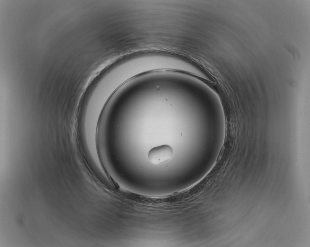 X0000114120488200910051514