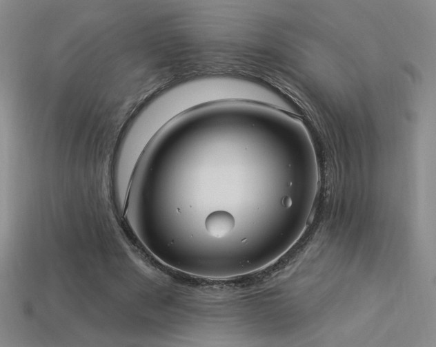 X0000114120489200910051514