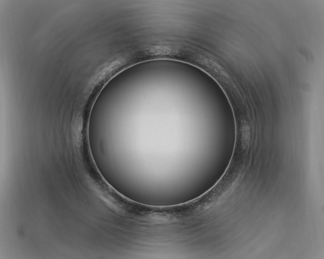 X0000114120490200910051514