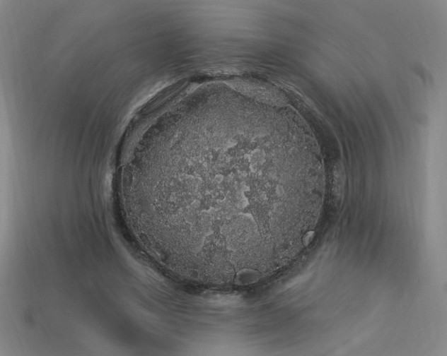 X0000114120491200910051514