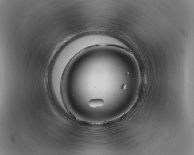 X0000114120492200910051513