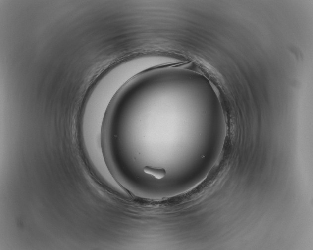 X0000114120493200910051513