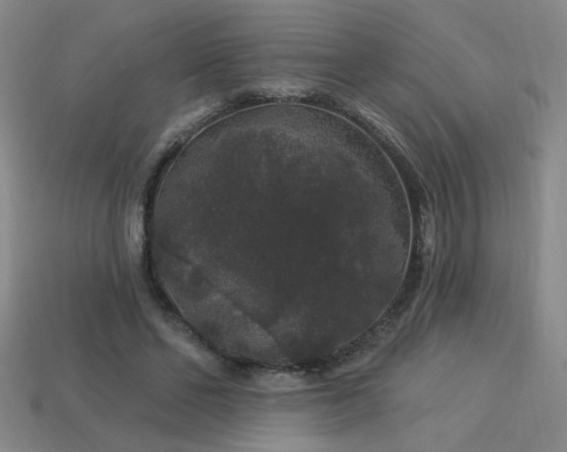 X0000114120494200910051513