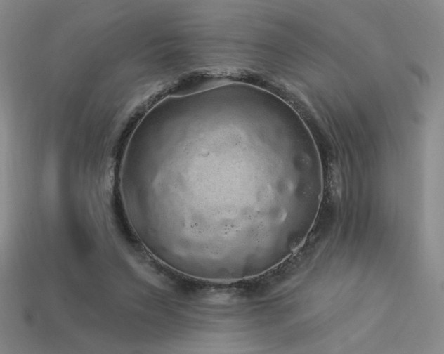 X0000114120495200910051513