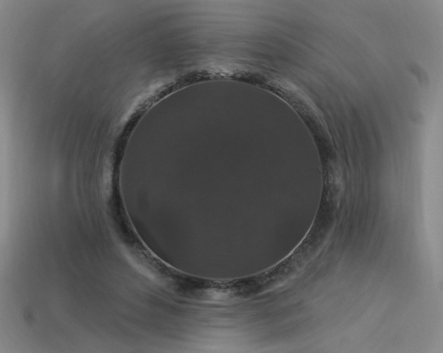 X0000114120496200910051513