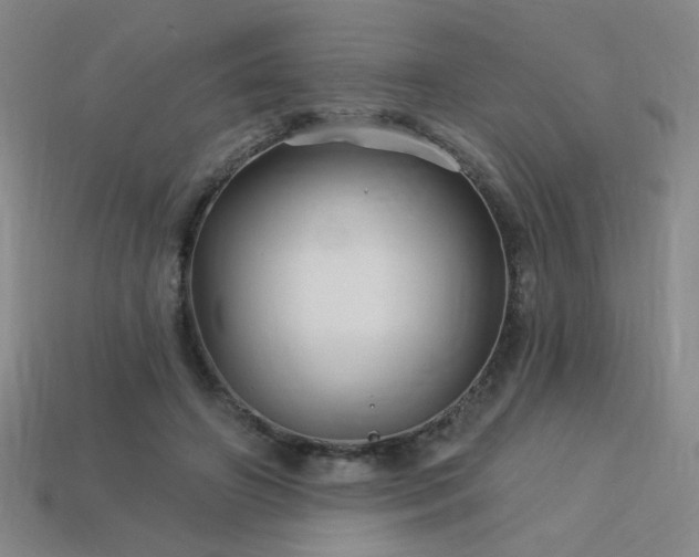 X0000114120498200910051513