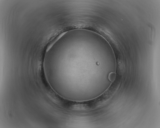 X0000114120499200910051513