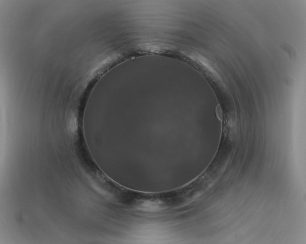 X0000114120500200910051513