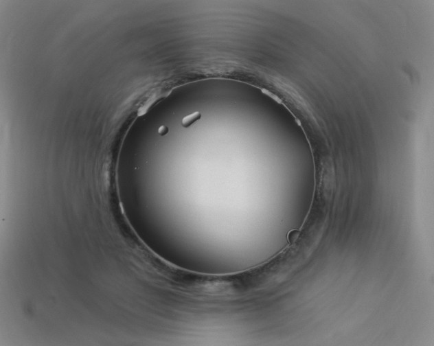 X0000114120501200910051513