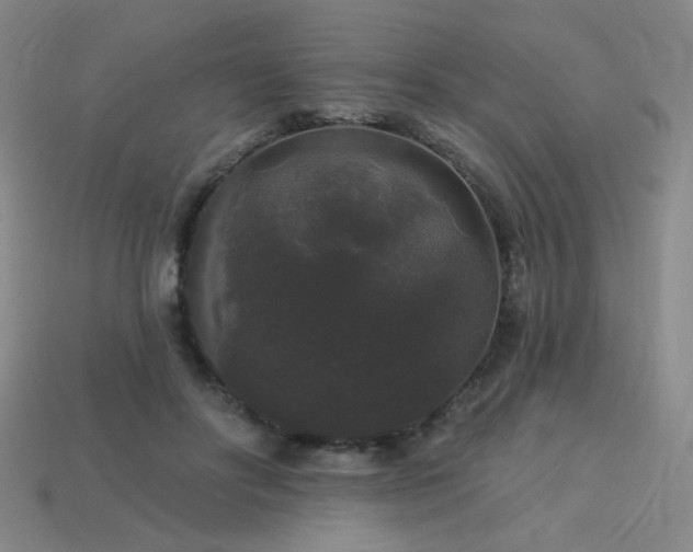 X0000114120502200910051513