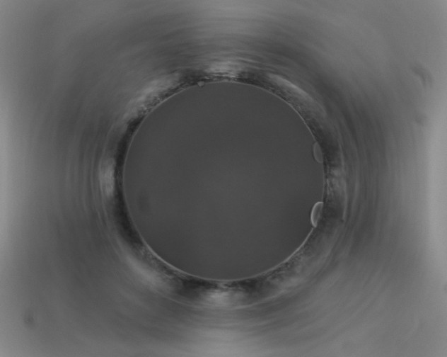 X0000114120504200910051513