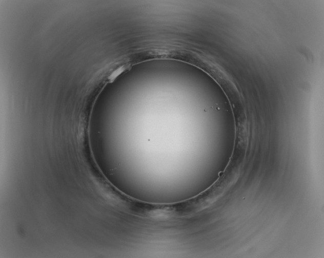 X0000114120505200910051513