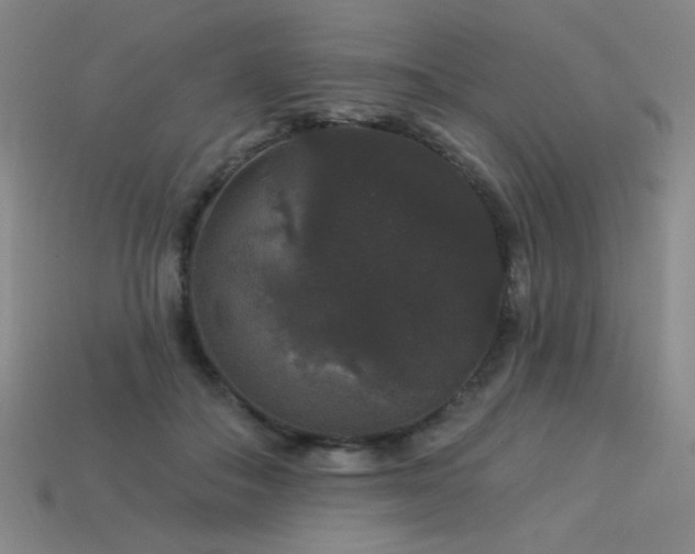 X0000114120506200910051513