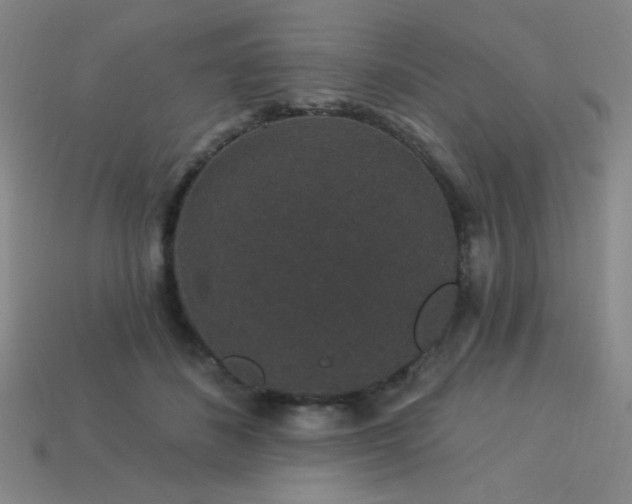 X0000114120508200910051513