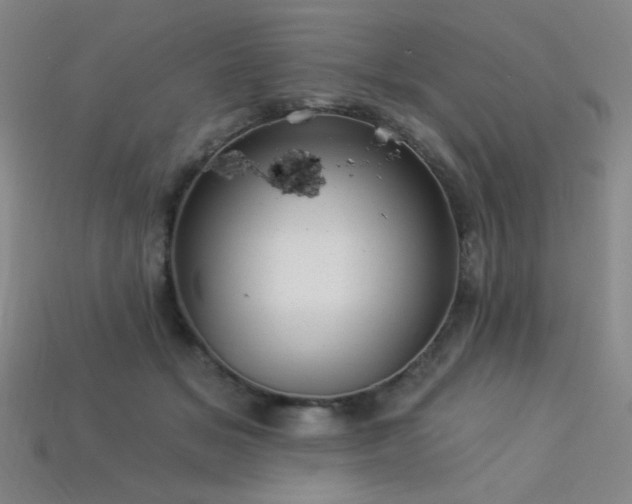 X0000114120509200910051513