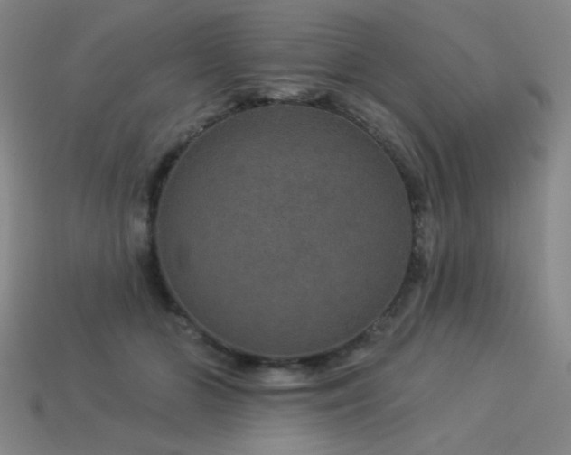 X0000114120510200910051513