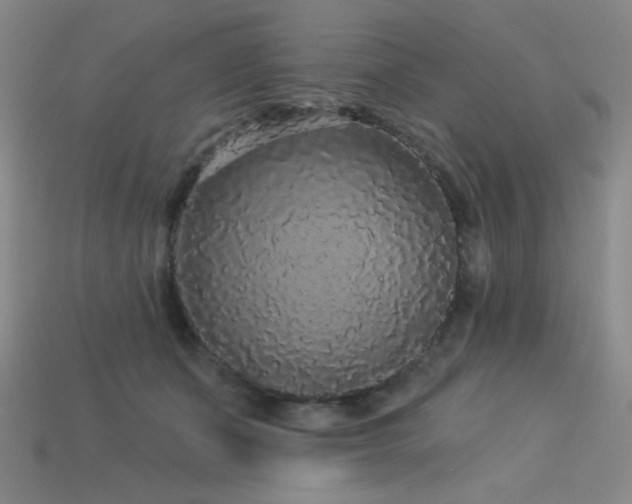 X0000114120511200910051513