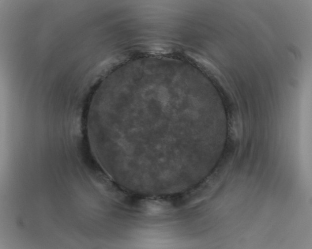 X0000114120512200910051513