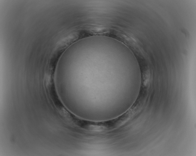 X0000114120515200910051513