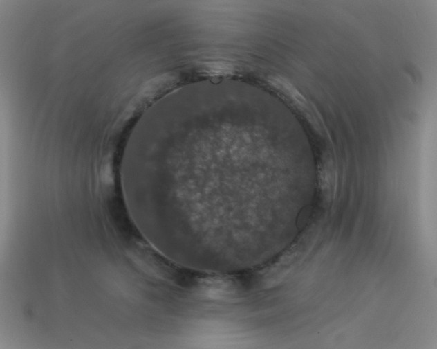 X0000114120516200910051513