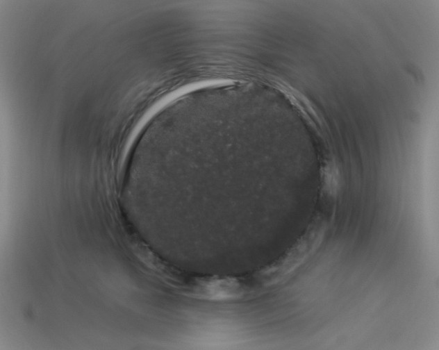 X0000114120517200910051513