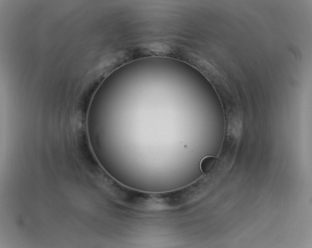 X0000114120518200910051513