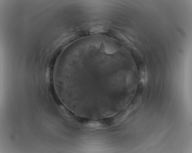 X0000114120519200910051513