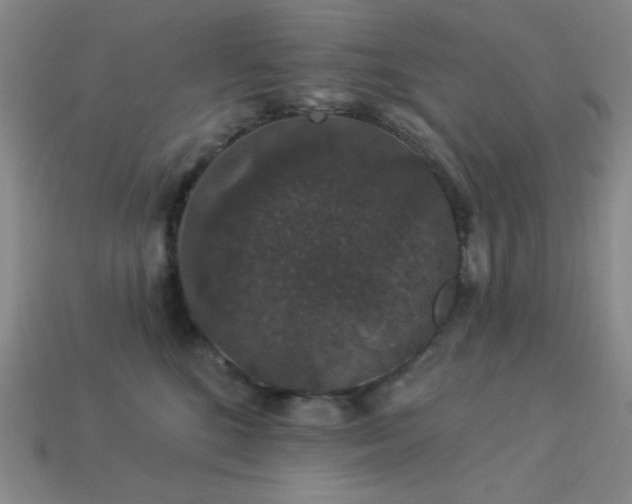 X0000114120520200910051513