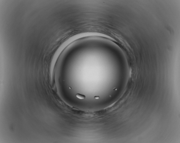 X0000114120521200910051513