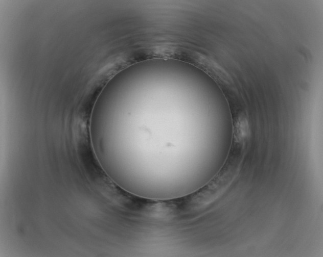 X0000114120522200910051513