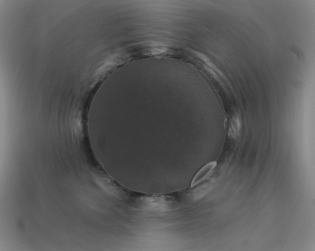 X0000114120524200910051513