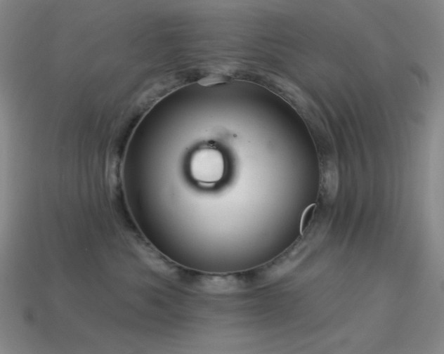 X0000114120525200910051513