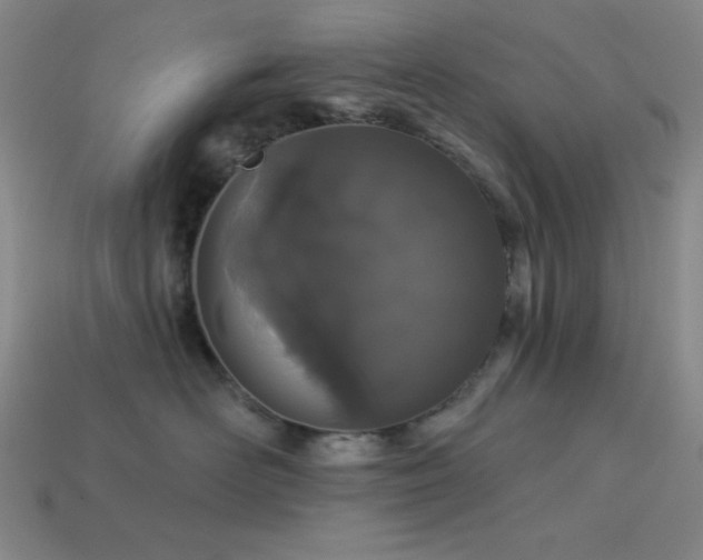 X0000114120526200910051513