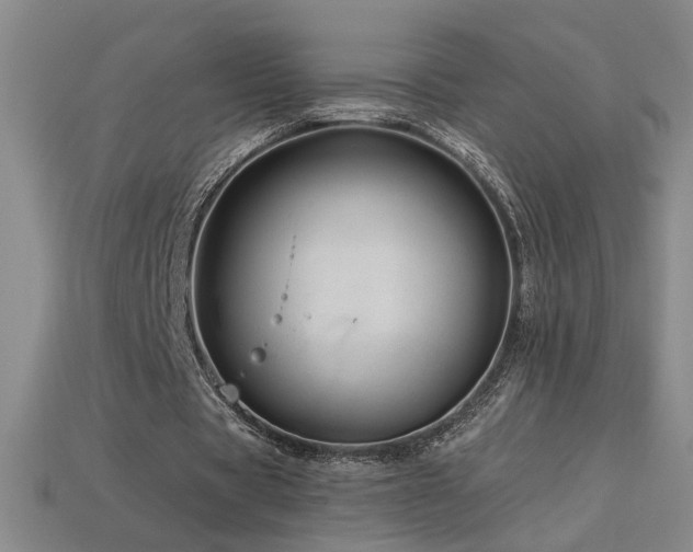 X0000114120529200910051512