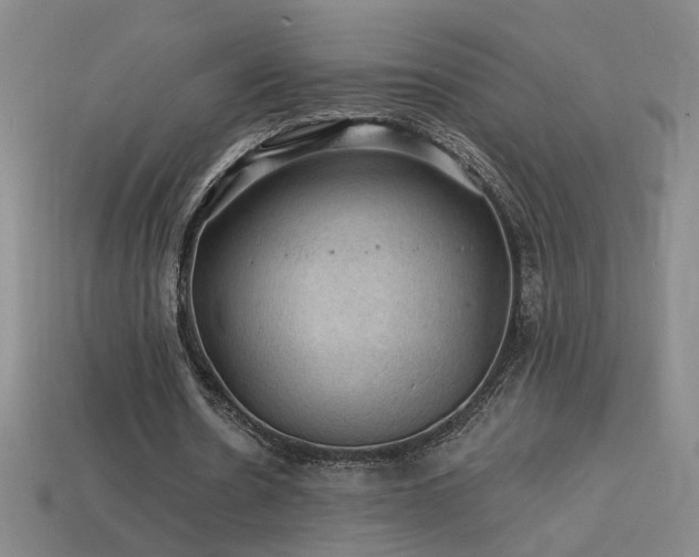 X0000114120530200910051512