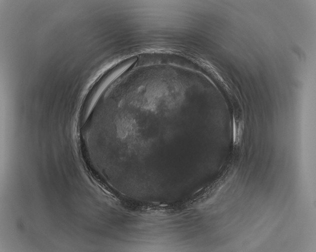 X0000114120531200910051512