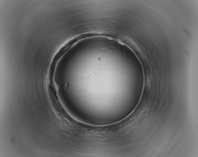 X0000114120532200910051512