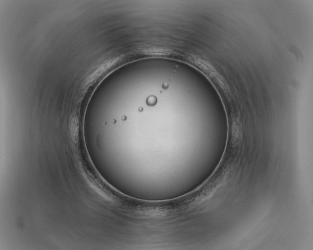 X0000114120533200910051512