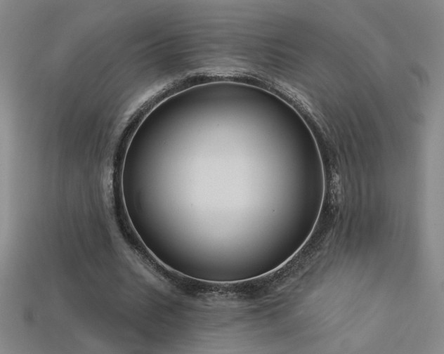 X0000114120535200910051512