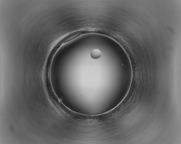 X0000114120536200910051513