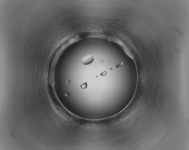 X0000114120538200910051513