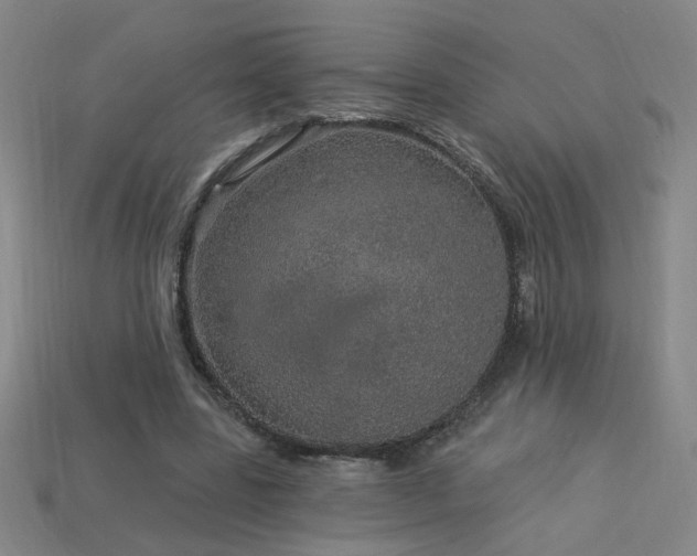 X0000114120539200910051513