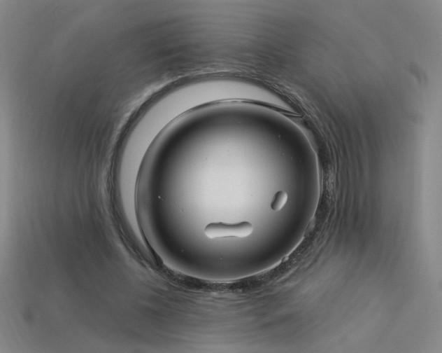 X0000114120540200910051513