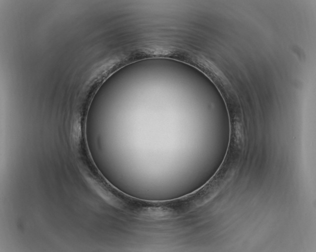 X0000114120541200910051513