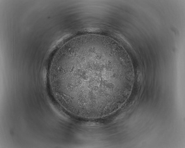 X0000114120542200910051513