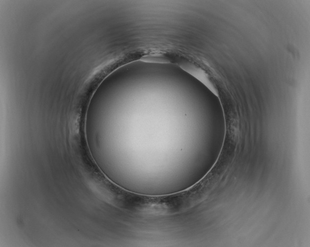 X0000114120543200910051513